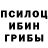 Псилоцибиновые грибы Magic Shrooms crunchy_ qties