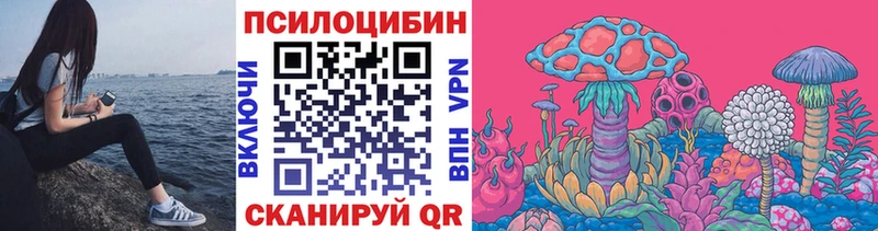 Псилоцибиновые грибы Psilocybe  Курганинск 
