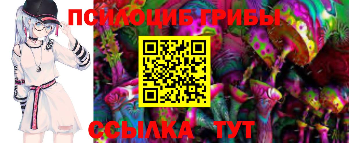 Курганинск  Псилоцибиновые грибы прущие грибы  Вход с VPN  Псилоцибиновые грибы MAGIC MUSHROOMS 