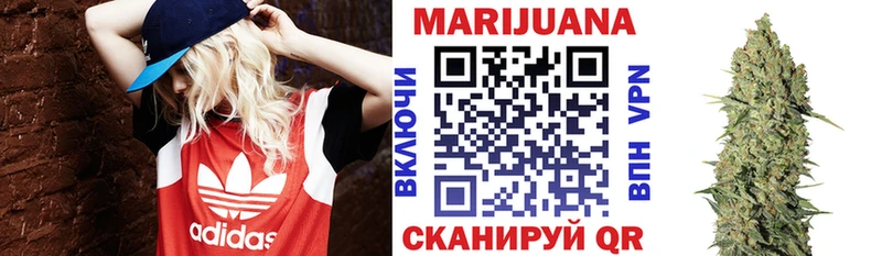 Конопля гибрид  Курганинск 