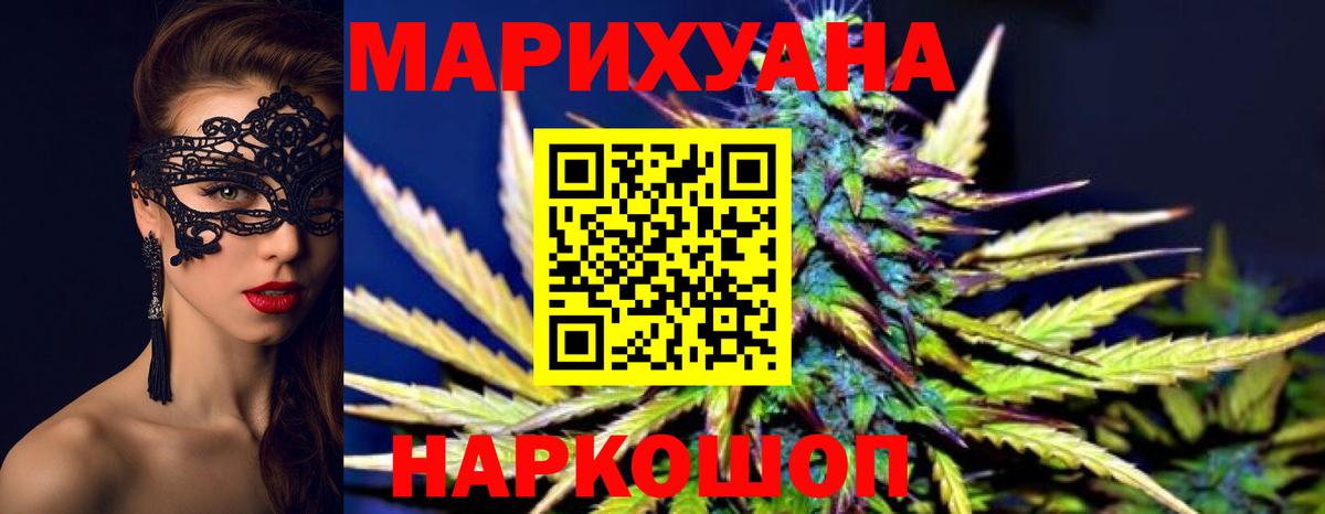 Канабис сатива Курганинск